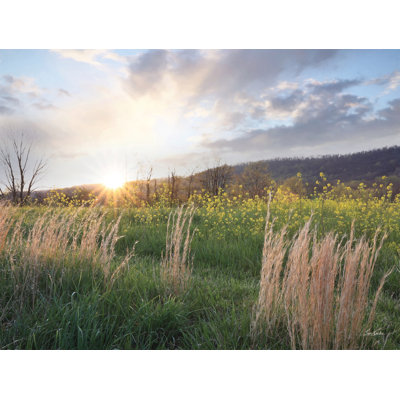 " Country Sunset " by Lori Deiter