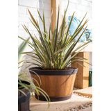 Lightweight Recycled Plastic Garden Pot Planter with Drainage Holes Oban Whiskey Barrel