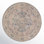 Oliva Flatweave Oriental Indoor Rug