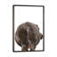 Animals Framed Art-49839947-49839941