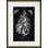 Butterfly Botanical I Print