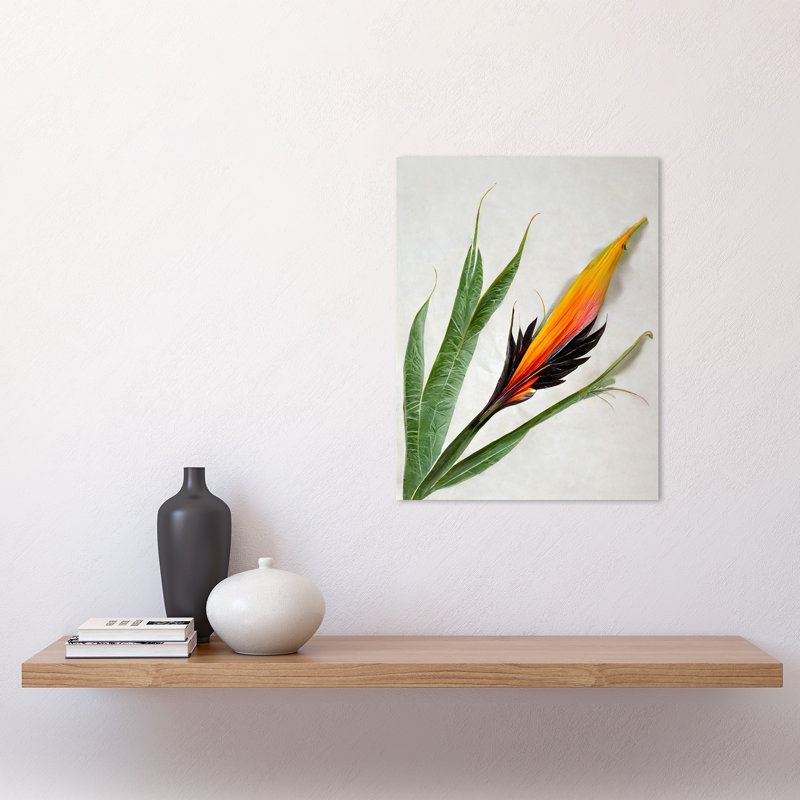 Bird Of Paradise Tropical Plant Flower Leaves - Print, Unframed, 40.5cm H x 30.5cm W x 0.2cm D