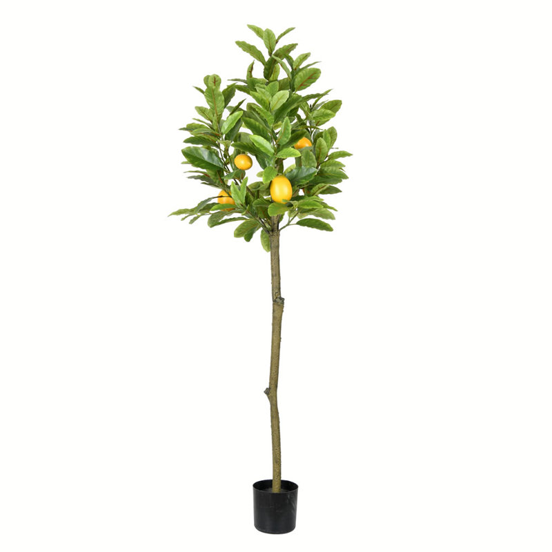 Artificial Potted Lemon Tree, 55" H x 22" W x 22" D