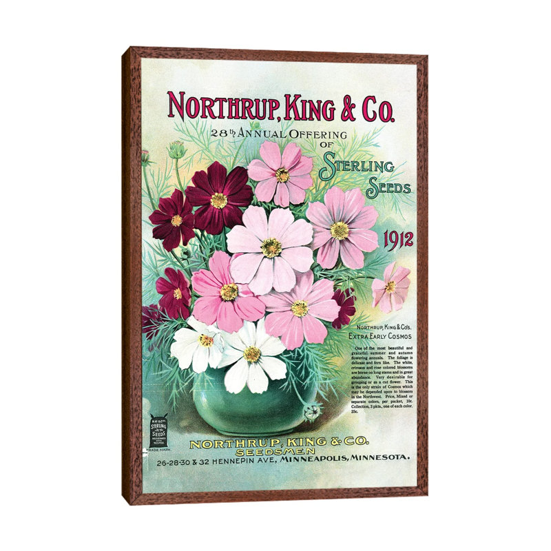 Sterling Seeds, 1912, From The Andersen Horticultural Library by Piddix - Print on Canvas, Classic Brown Wood Framed