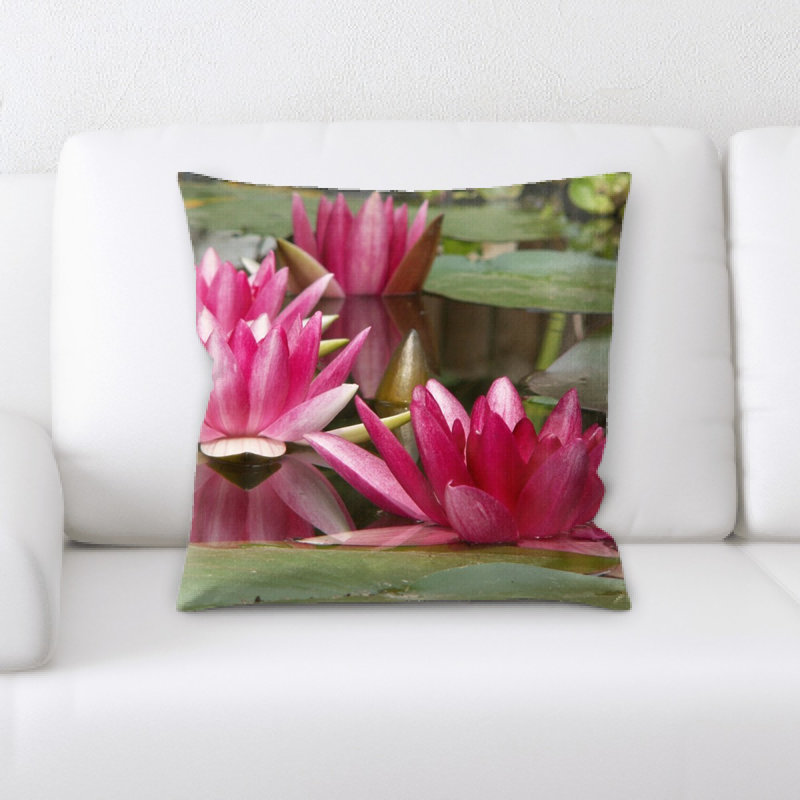 Coussin de plante aquatique