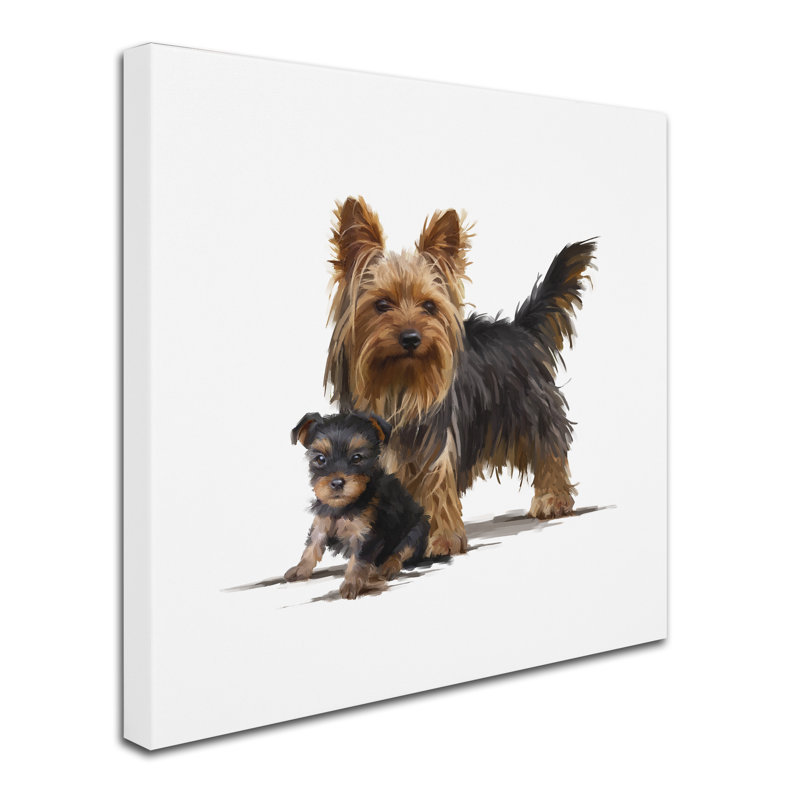 Armand 'Yorky' Print on Canvas, 35" H x 35" W x 2" D