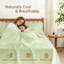 Ensemble de draps 100% coton 250 TC Percale-123272607-123272610