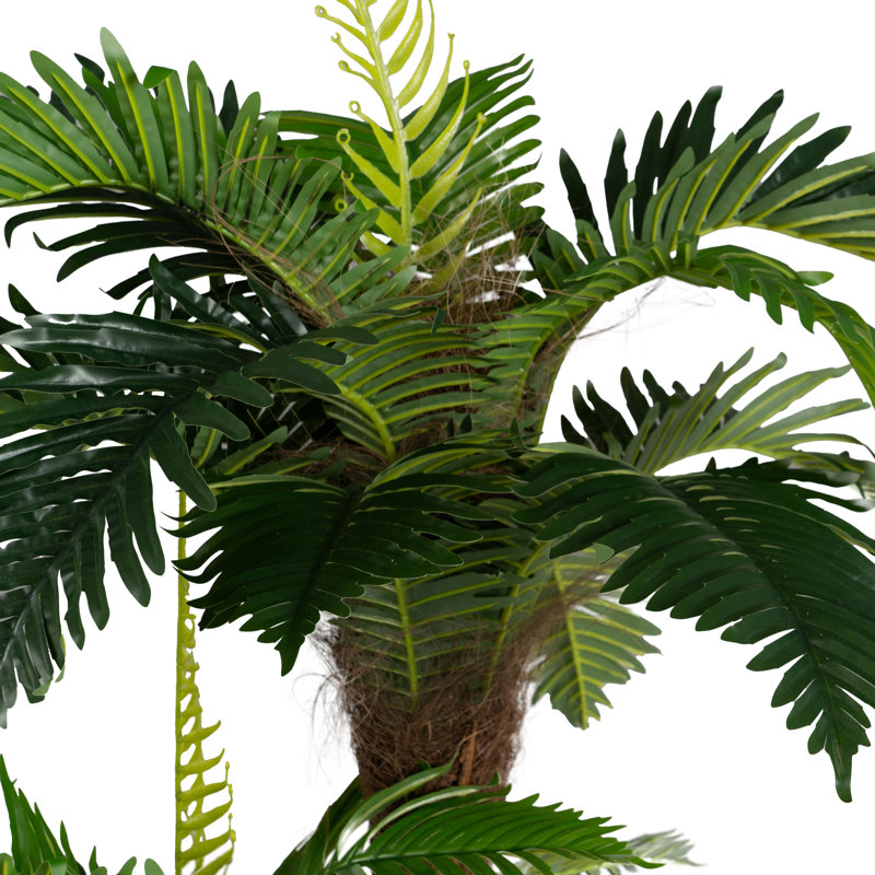 120cm Plant