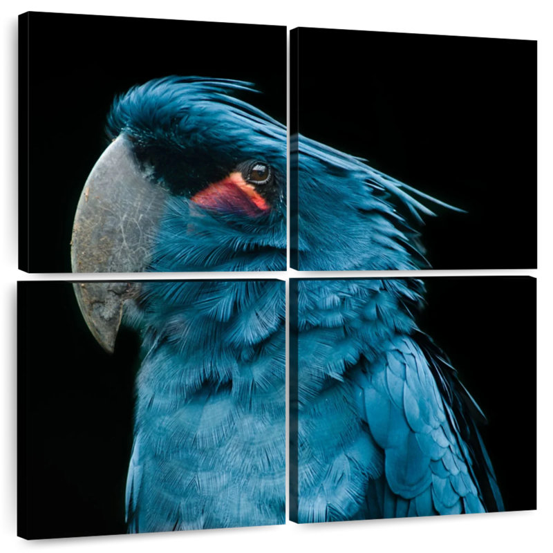 Brampt Blue Bird Portrait, 18" H x 18" W