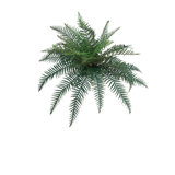 38'' Faux Fern Plant