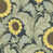 Yellow/Green