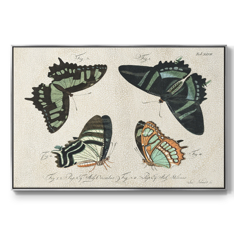 «Crackled Butterflies III», reproduction d'art sur toile, H 25 po x l 37 po x P 2 po, Toile argentée avec cadre flottant