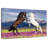 Brampt Playful Horses-107681424