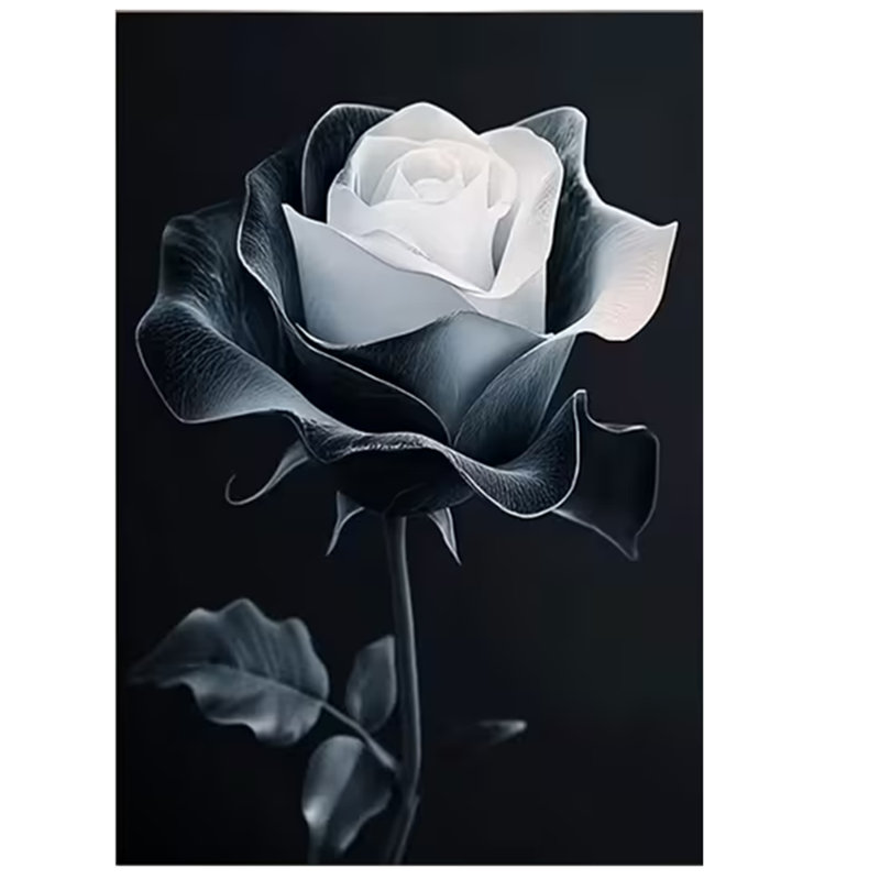 Wrapped Canvas Print, 45 cm H x 30 cm W