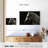 Horse With Long Mane-107670114