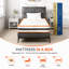EUMCC Trading Foam Mattress-124118156