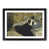 Black Framed selected