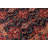 Silke Wool Oriental Rug