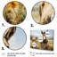 «Donkey Flower Meadow Landscape I - Donkey», ensemble de 5 décorations murales-2057670732