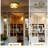 Flush Mount Ceiling Light Fixture with Glass & Brass Design-106872628