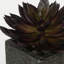 Plante echeveria à pointe artificielle dans un pot de fleurs-1945219071-1945226071