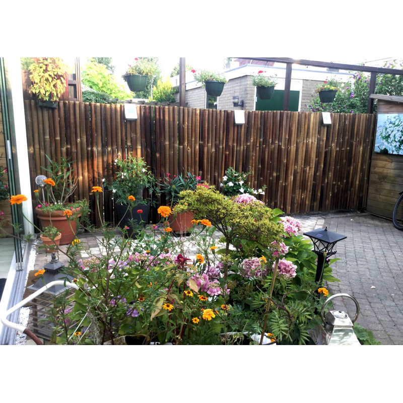 Bamboo Fencing