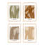 Marine Flora-1562326232-1562326233