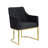 Toriann 26'' Wide Tufted Armchair Modern Gold Club Armchair, Accent Pair Chair-673068898