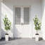 Faux Plant-216967048
