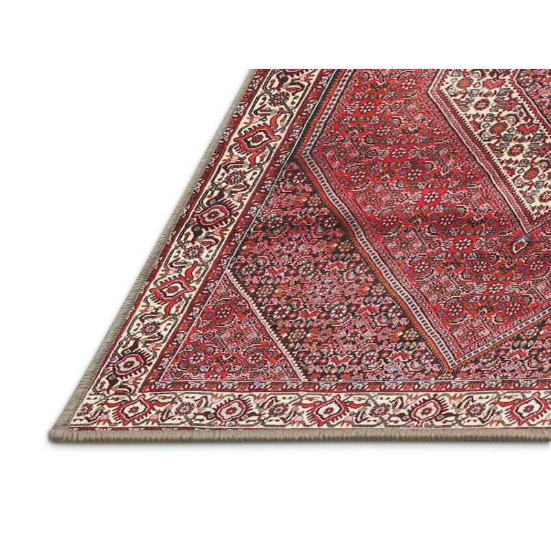 Oriental Indoor Rug, Rectangle 8' x 10'