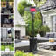Patioflare Volaris Patio Heater, Black