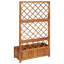 Shuler Wood Raised Garden Bed with Trellis