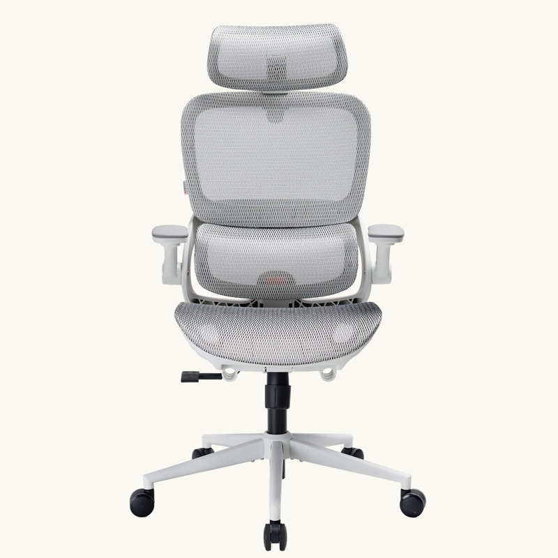Fauteuil de bureau B100 Pro, White