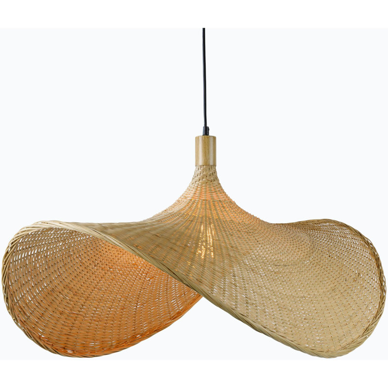 Luminaire suspendu 1 lumière Dickerson