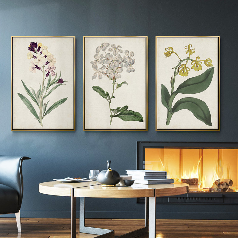 Ensemble de 3 pièces encadrées sur toile Antique Botanical Collection VII, Or, H 40 po x l 78 po