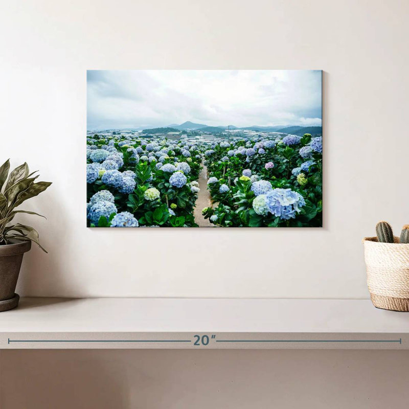 Alvord Hydrangea Farm, 8" H x 12" W