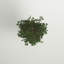 Ficus artificiel 72 po dans un panier