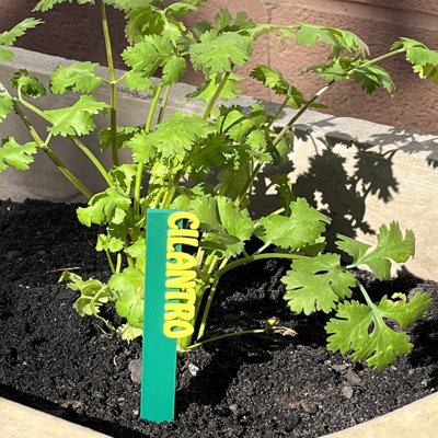 Herb Seed & Plant Markers - Indoor/outdoor Herb Garden Stakes - Elegant Herb Plant/seed Labels - Durable Plant Tags For Pots - Classy Design For Farmhouse/greenhouse – Individual Sticks - Cilantro