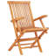 Pavonea 6 - Person Teak Wood Patio Dining Set with Rectangular Table-1160319098