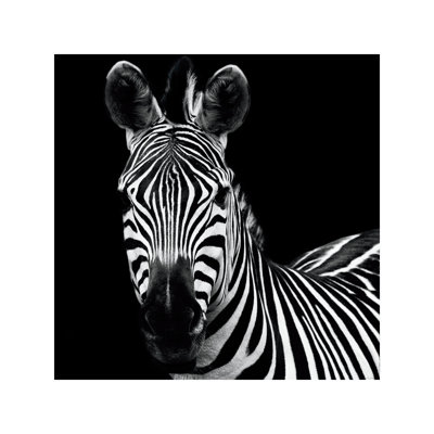 Zebra II by Debra Van Swearingen - Wrapped Canvas Print