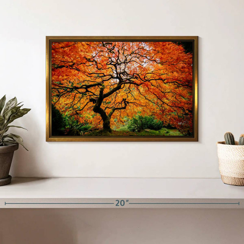 Automne érable japonais, Cadre flottant doré, 13 po x 9 po