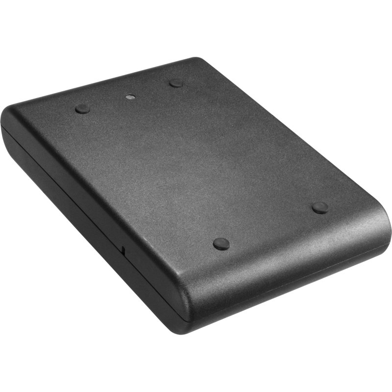 Black Steel Biometric Fingerprint Compact Safe