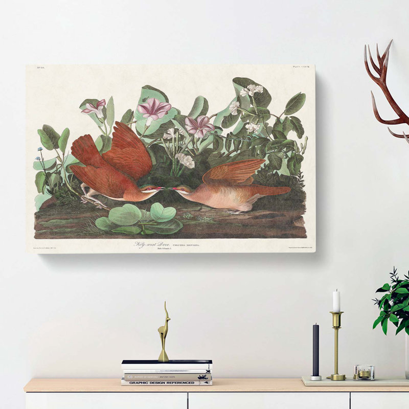 Key-west Doves by John Audubon - Wrapped Canvas, 50cm H x 76cm W x 3cm D