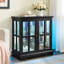 Armoire antique en verre noir avec système à 7 couleurs à DEL, rangement réglable, porte magnétique et plateau de table lisse pour la fermeture de l'organisation à domicile, la bande, la salle à manger de base