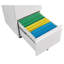 [requires assembly] Office Storage Cabinet, 2 Drawers File Cabinet With Lock Metal Vertical File Cabient With Wheels Mobile File Cabinet For Office Home Legal/Letter/a4 Size