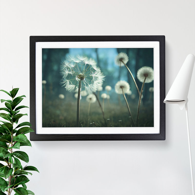 Alluring Dandelion Flowers - Single Picture Frame Print, 46cm H x 64cm W x 2cm D, Black