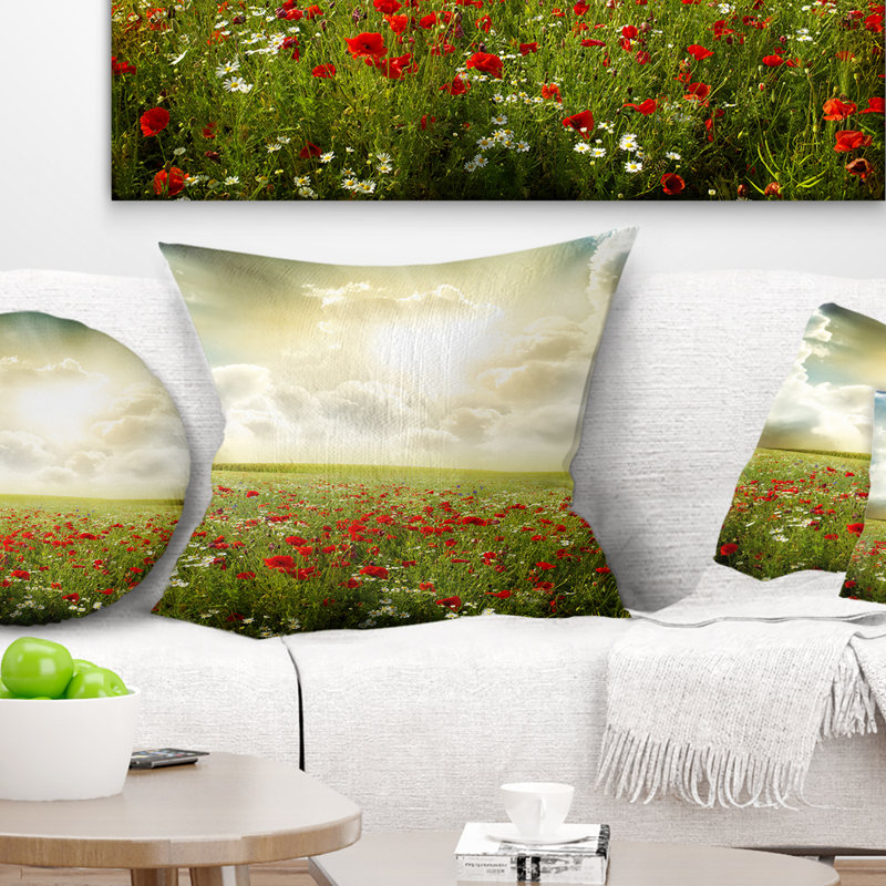Coussin décoratif paysage de ciel dramatique sur fond de coquelicots, 16 po x 1 po, Coussin décoratif