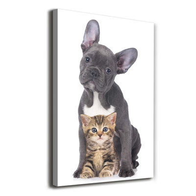 Dog And Cat - Wrapped Canvas Print