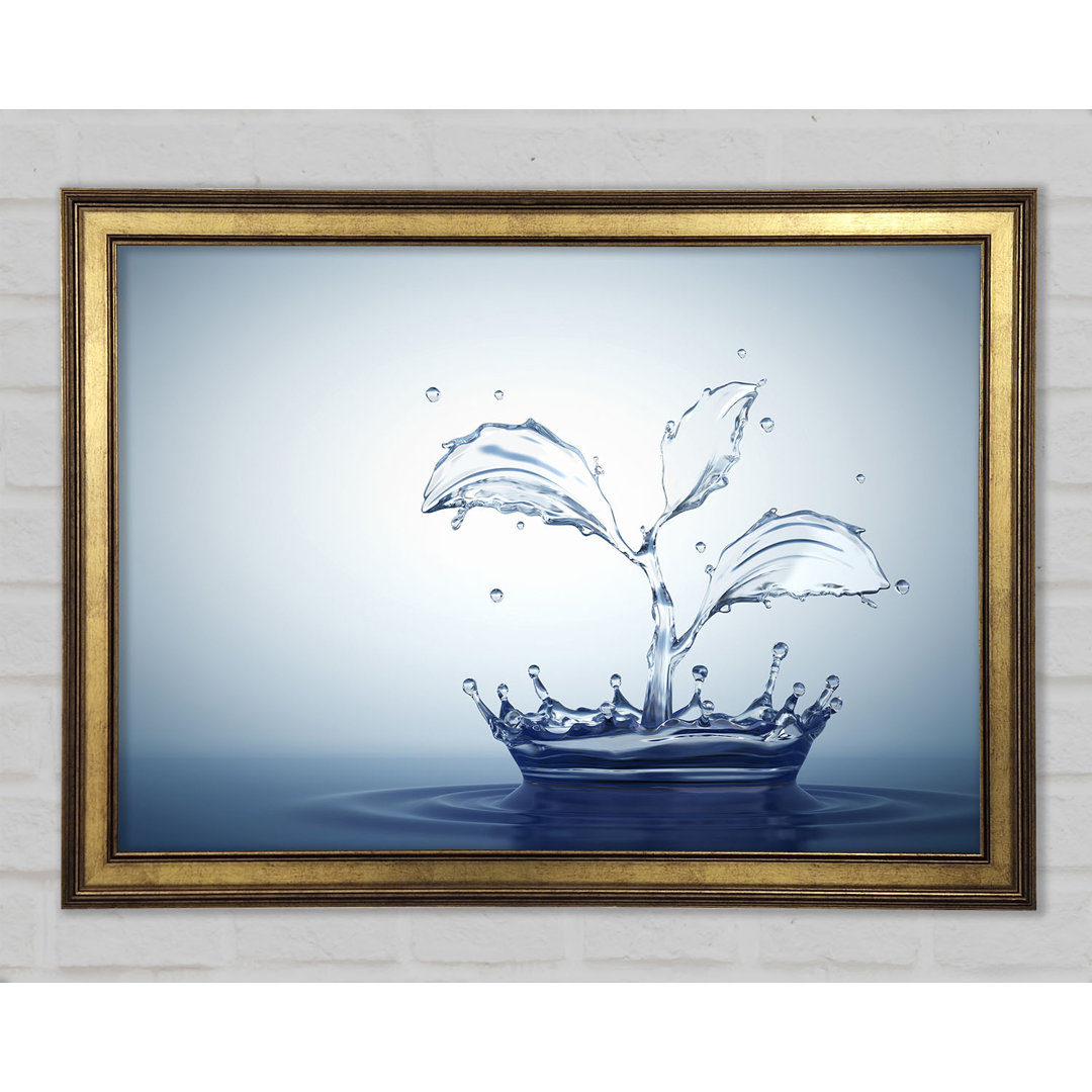 Water Splash Plant Gerahmter Druck