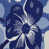 Bleus